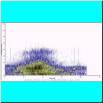 rec0001 (2) spectrogram.bmp